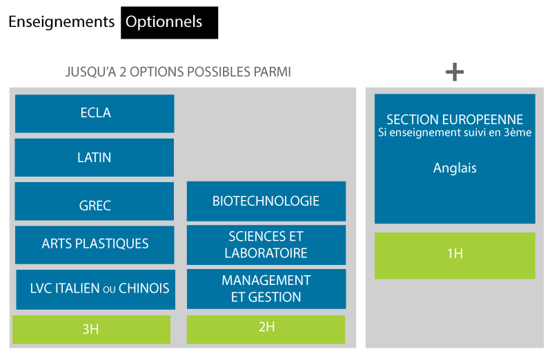 Options seconde
