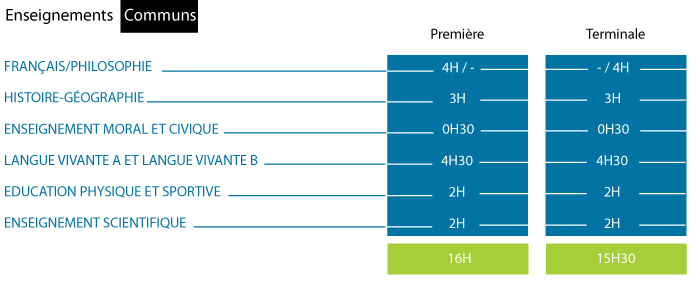 Enseignements communs du cycle terminal